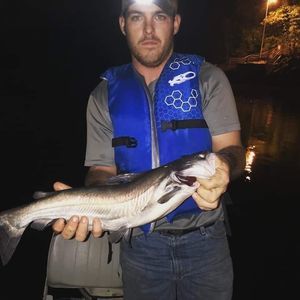 Meet your Posher, Corey